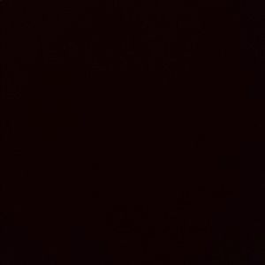 Meet your Posher, Dannielle